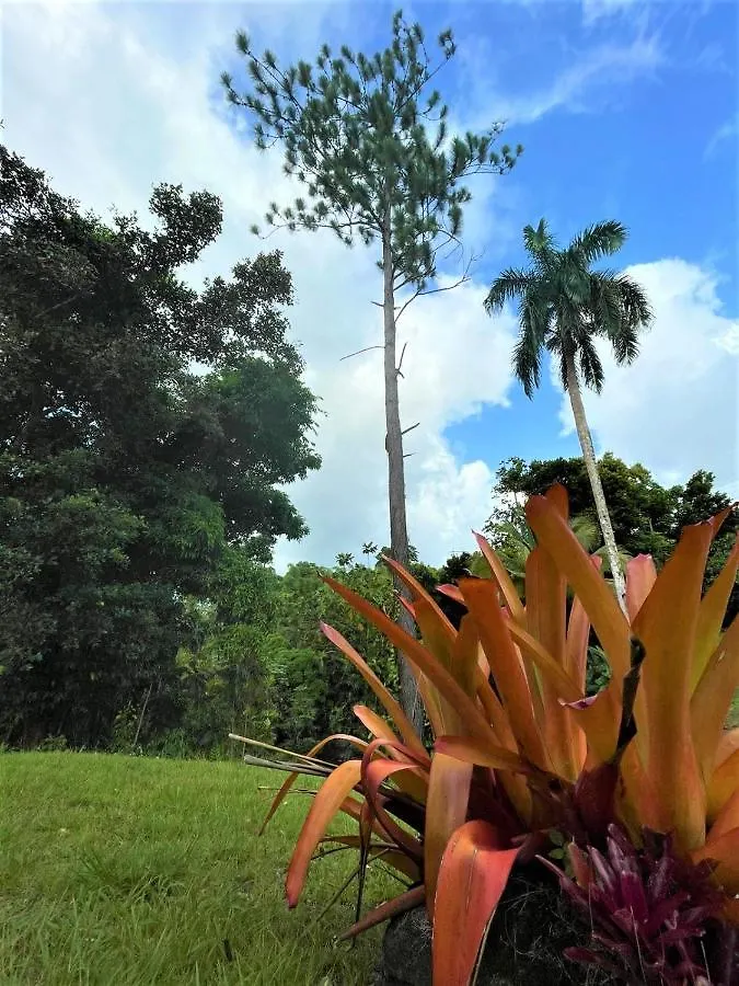 Casa Grande Vacation Home And Events Venue Río Grande 0*,