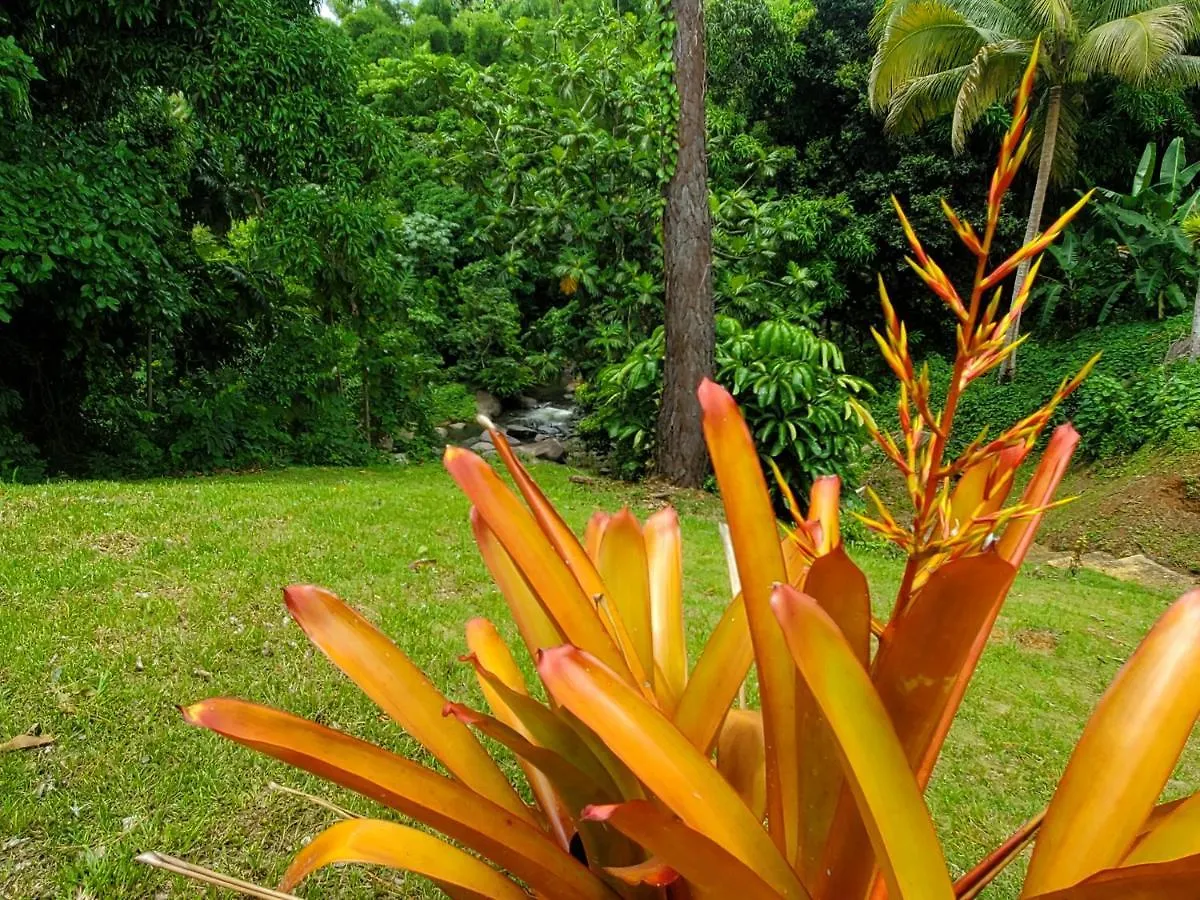 Alpehytte Casa Grande Vacation Home And Events Venue Río Grande
